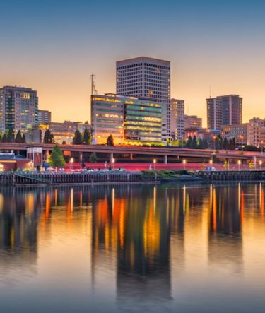 Covington website design