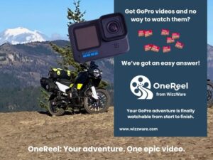 OneReel - InSite Innovation Lab - custom AI design